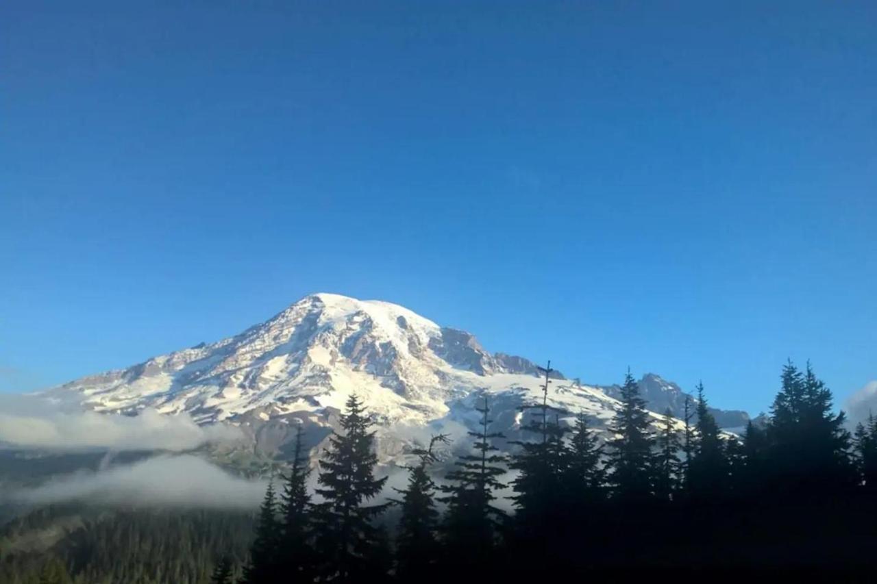 Mt Rainier Little Red Cabin Ashford Exterior foto
